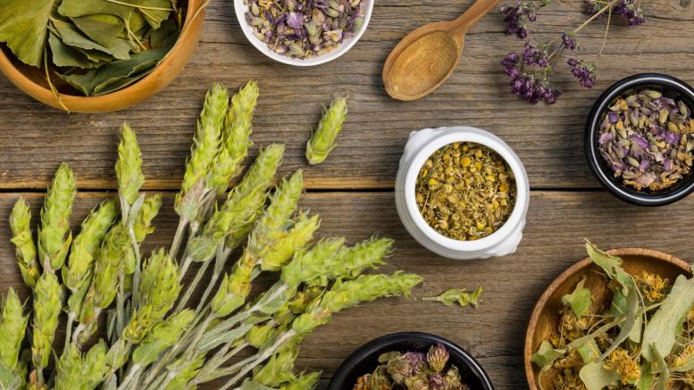 گیاهان دارویی برای پاکسازی کبد